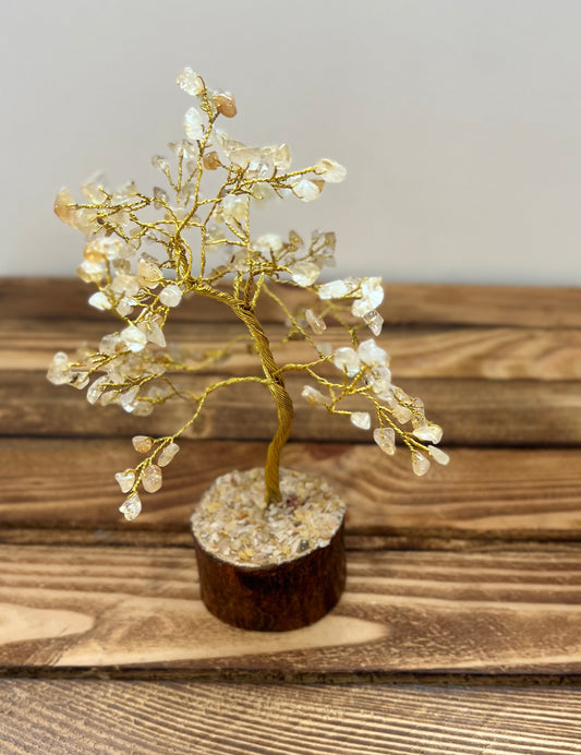 Arbres de vie - Citrine